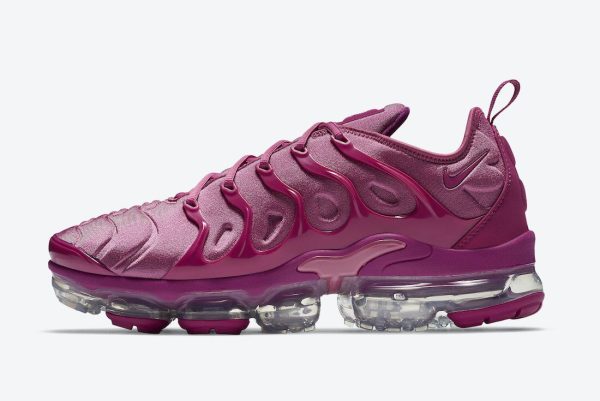Air VaporMax Plus TN