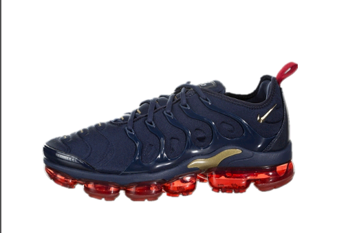 Air VaporMax Plus TN